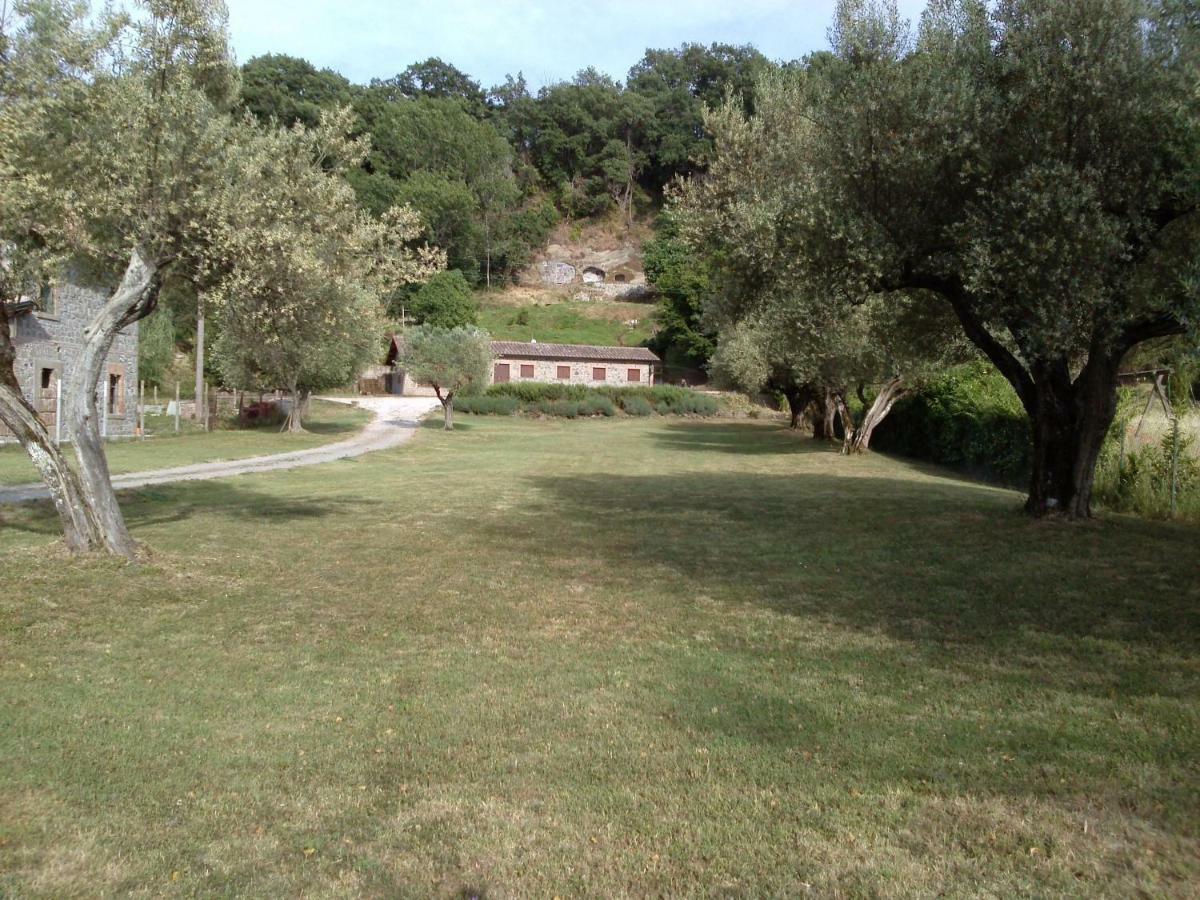 Casa Sorgente Appartement Montefiascone Buitenkant foto