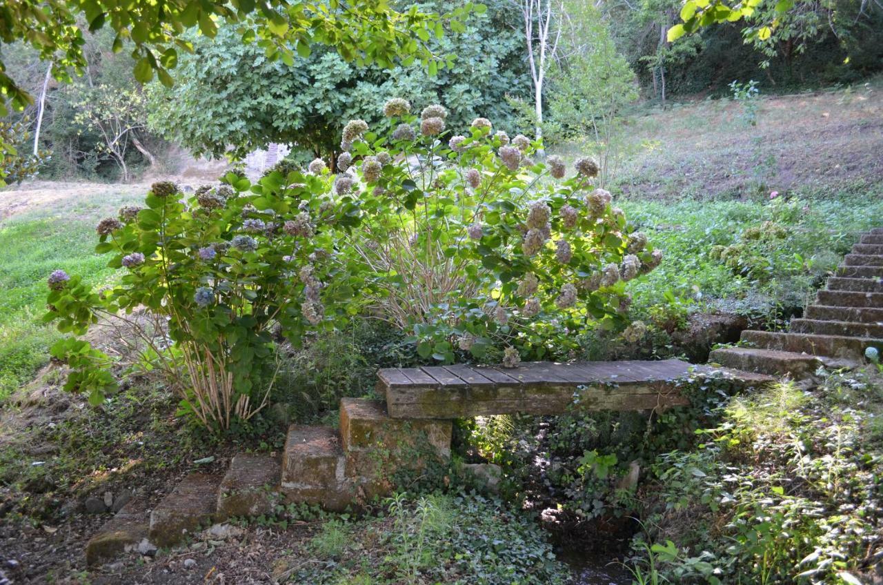 Casa Sorgente Appartement Montefiascone Buitenkant foto